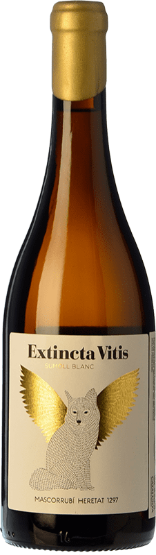 21,95 € Envío gratis | Vino Blanco Mascorrubí Extincta Vitis D.O. Catalunya Cataluña España Sumoll 75 cl