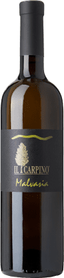 29,95 € Kostenloser Versand | Weißwein Il Carpino I.G.T. Friuli - Venezia Giulia Friaul-Julisch Venetien Italien Malvasia 75 cl