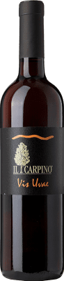 29,95 € 送料無料 | 白ワイン Il Carpino Vis Uvae I.G.T. Friuli-Venezia Giulia フリウリ - ヴェネツィアジュリア イタリア Pinot Grey ボトル 75 cl