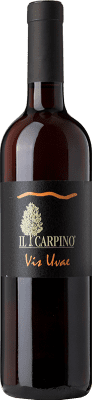 29,95 € Free Shipping | White wine Il Carpino Vis Uvae I.G.T. Friuli-Venezia Giulia Friuli-Venezia Giulia Italy Pinot Grey Bottle 75 cl