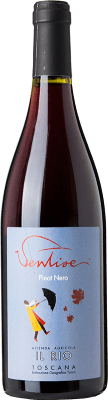 38,95 € Envio grátis | Vinho Tinto Il Rio Ventisei I.G.T. Toscana Tuscany Itália Pinot Noir 75 cl