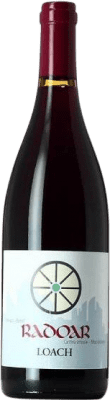 21,95 € Kostenloser Versand | Rotwein Radoar Loach D.O.C. Südtirol Alto Adige Südtirol Italien Spätburgunder, Zweigelt Flasche 75 cl