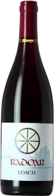 21,95 € Envio grátis | Vinho tinto Radoar Loach D.O.C. Südtirol Alto Adige Alto Adige Itália Pinot Preto, Zweigelt Garrafa 75 cl