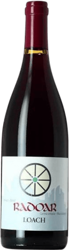 22,95 € Free Shipping | Red Wine Radoar Loach D.O.C. Südtirol Alto Adige Alto Adige Italy Pinot Noir, Zweigelt Eco — Organic 75 cl