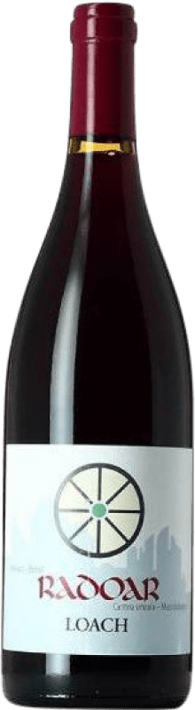 21,95 € Envio grátis | Vinho tinto Radoar Loach D.O.C. Südtirol Alto Adige Alto Adige Itália Pinot Preto, Zweigelt Garrafa 75 cl