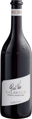 33,95 € Envío gratis | Vino tinto Jean-René Germanier Balavaud Grand Cru Joven Valais Suiza Pinot Negro Botella 75 cl