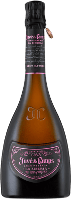 Juvé y Camps La Siberia Pinot Black Brut Nature 大储备 75 cl