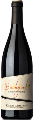 28,95 € Free Shipping | Red wine Klaus Lentsch Bachgart D.O.C. Alto Adige Trentino-Alto Adige Italy Pinot Black Bottle 75 cl
