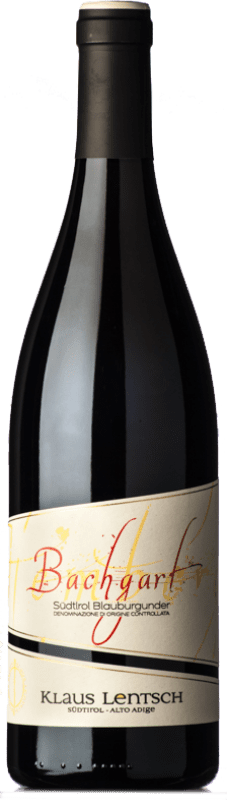 29,95 € Spedizione Gratuita | Vino rosso Klaus Lentsch Bachgart D.O.C. Alto Adige Trentino-Alto Adige Italia Pinot Nero Bottiglia 75 cl