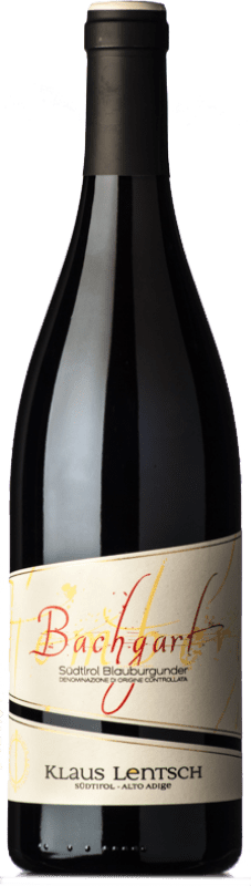 28,95 € Envío gratis | Vino tinto Klaus Lentsch Bachgart D.O.C. Alto Adige Trentino-Alto Adige Italia Pinot Negro Botella 75 cl