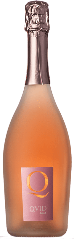 9,95 € Envio grátis | Espumante rosé La Guardiense Quid Rosato Brut I.G.T. Campania Campania Itália Aglianico Garrafa 75 cl