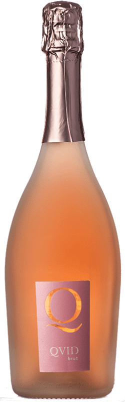 9,95 € Envoi gratuit | Vin Mousseux Rosé La Guardiense Quid Brut I.G.T. Campania Campanie Italie Aglianico Bouteille 75 cl