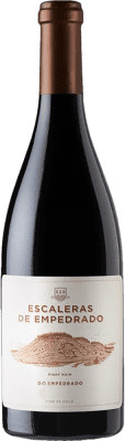 115,95 € Envío gratis | Vino Tinto Miguel Torres Escaleras de Empedrado Reserva Chile Pinot Negro 75 cl