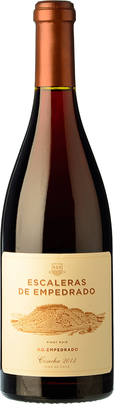 109,95 € Envoi gratuit | Vin rouge Miguel Torres Escaleras de Empedrado Réserve Chili Pinot Noir Bouteille 75 cl