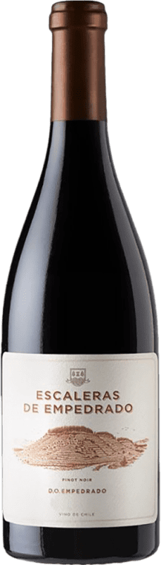 139,95 € Envío gratis | Vino tinto Miguel Torres Escaleras de Empedrado Reserva Chile Pinot Negro Botella 75 cl