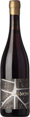 46,95 € Бесплатная доставка | Красное вино Noah D.O.C. Lessona Пьемонте Италия Nebbiolo бутылка 75 cl