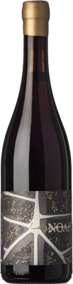 Noah Nebbiolo 75 cl