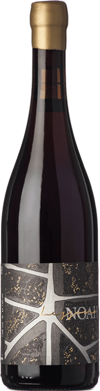 48,95 € Free Shipping | Red Wine Noah D.O.C. Lessona Piemonte Italy Nebbiolo 75 cl