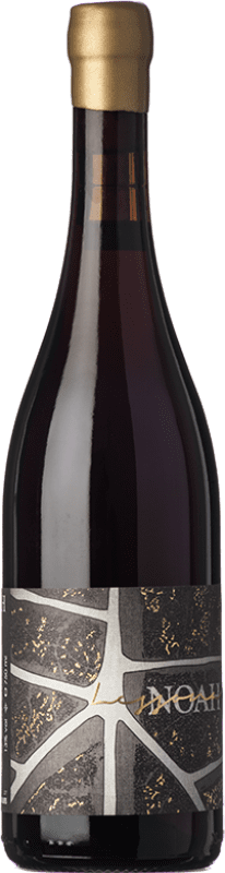 46,95 € Spedizione Gratuita | Vino rosso Noah D.O.C. Lessona Piemonte Italia Nebbiolo Bottiglia 75 cl