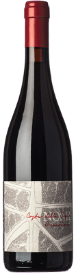 22,95 € Free Shipping | Red wine Noah Croatina D.O.C. Coste della Sesia Piemonte Italy Nebbiolo, Croatina, Vespolina, Rara Bottle 75 cl
