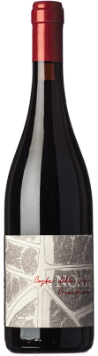 23,95 € Envio grátis | Vinho tinto Noah Croatina D.O.C. Coste della Sesia Piemonte Itália Nebbiolo, Croatina, Vespolina, Rara Garrafa 75 cl