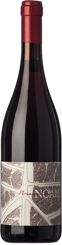 34,95 € Envoi gratuit | Vin rouge Noah D.O.C. Bramaterra Piémont Italie Nebbiolo, Croatina, Vespolina, Rara Bouteille 75 cl
