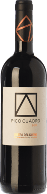 Pico Cuadro Tempranillo 高齢者 75 cl