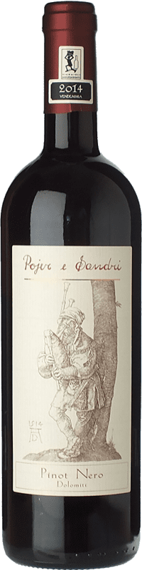 19,95 € Kostenloser Versand | Rotwein Pojer e Sandri I.G.T. Vigneti delle Dolomiti Trentino-Südtirol Italien Spätburgunder Flasche 75 cl