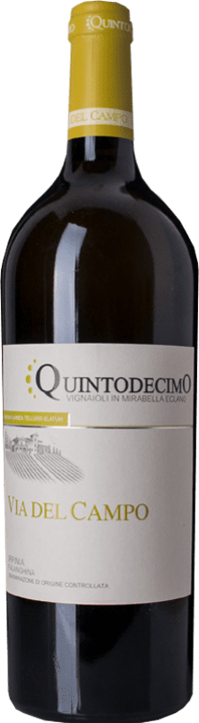 44,95 € Бесплатная доставка | Белое вино Quintodecimo Via del Campo D.O.C. Irpinia Кампанья Италия Falanghina бутылка 75 cl