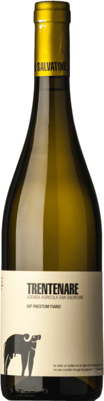 19,95 € Free Shipping | White wine San Salvatore 1988 Trentenare D.O.C. Paestum Campania Italy Fiano Bottle 75 cl