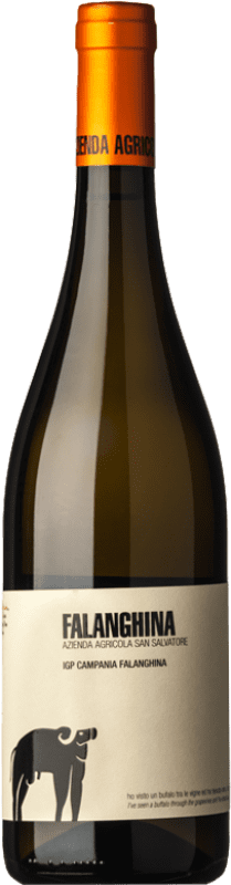 16,95 € Envoi gratuit | Vin blanc San Salvatore 1988 I.G.T. Campania Campanie Italie Falanghina Bouteille 75 cl