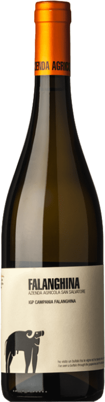 16,95 € Envio grátis | Vinho branco San Salvatore 1988 I.G.T. Campania Campania Itália Falanghina Garrafa 75 cl