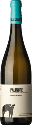 16,95 € Free Shipping | White wine San Salvatore 1988 Bianco Palinure D.O.C. Paestum Campania Italy Fiano, Greco, Falanghina Bottle 75 cl