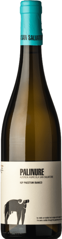 16,95 € 免费送货 | 白酒 San Salvatore 1988 Bianco Palinure D.O.C. Paestum 坎帕尼亚 意大利 Fiano, Greco, Falanghina 瓶子 75 cl