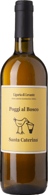 24,95 € Envoi gratuit | Vin Blanc Santa Caterina Poggi al Bosco I.G.T. Liguria Ligurie Italie Albarola 75 cl