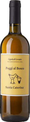 Santa Caterina Poggi al Bosco Albarola 75 cl