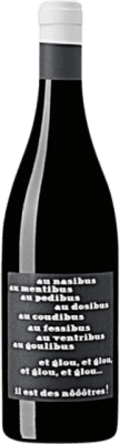 9,95 € Бесплатная доставка | Красное вино Vignobles Arbeau Il est des Nôôôtres I.G.P. Comte Tolosan Франция Gamay бутылка 75 cl