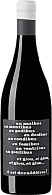 9,95 € Kostenloser Versand | Rotwein Vignobles Arbeau Il est des Nôôôtres I.G.P. Comte Tolosan Frankreich Gamay Flasche 75 cl