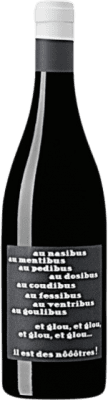 10,95 € Envío gratis | Vino Tinto Vignobles Arbeau Il est des Nôôôtres I.G.P. Comte Tolosan Francia Gamay 75 cl
