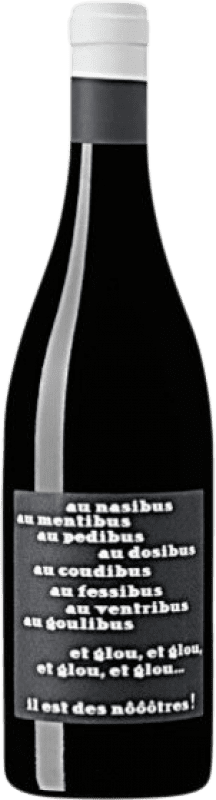 9,95 € 免费送货 | 红酒 Vignobles Arbeau Il est des Nôôôtres I.G.P. Comte Tolosan 法国 Gamay 瓶子 75 cl