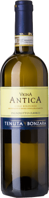 12,95 € Бесплатная доставка | Белое вино Bonzara Vigna Antica D.O.C. Colli Bolognesi Classico Pignoletto Эмилия-Романья Италия Pignolo бутылка 75 cl