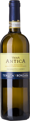 Bonzara Vigna Antica Pignolo Classique 75 cl