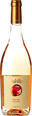 10,95 € Envio grátis | Vinho rosé U Més U Dahlia Gris Jovem D.O. Penedès Catalunha Espanha Grenache Cinza Garrafa 75 cl