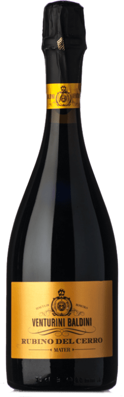 18,95 € 免费送货 | 红汽酒 Venturini Baldini Lambrusco Rubino del Cerro 香槟 D.O.C. Reggiano 艾米利亚 - 罗马涅 意大利 Lambrusco 有机 瓶子 75 cl
