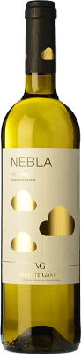 10,95 € Envío gratis | Vino blanco Vicente Gandía Nebla I.G.P. Vino de la Tierra de Castilla y León Castilla y León España Verdejo Botella 75 cl