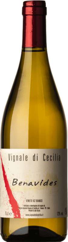 10,95 € Envoi gratuit | Vin blanc Vignale di Cecilia Benavides I.G.T. Veneto Vénétie Italie Garganega, Muscat Blanc Bouteille 75 cl