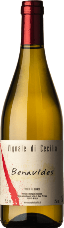 11,95 € Free Shipping | White Wine Vignale di Cecilia Benavides I.G.T. Veneto Veneto Italy Moscato — Muscat, Garganega 75 cl