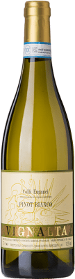 Vignalta Pinot White 75 cl