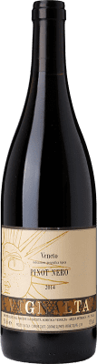 29,95 € Envio grátis | Vinho tinto Vignalta I.G.T. Veneto Vêneto Itália Pinot Preto Garrafa 75 cl