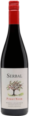 12,95 € 送料無料 | 赤ワイン Tierras Atamisque Serbal I.G. Valle de Uco メンドーサ アルゼンチン Pinot Black ボトル 75 cl